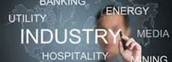 Industry-wise Programs